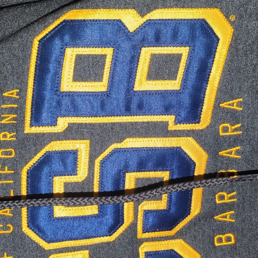 Champion UCSB Gray Hoodie, Large - Picture 3 of 5
